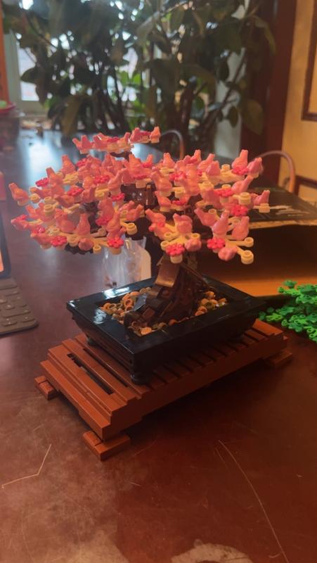 LEGO Adult Builders Expert Bonsai Tree 10281 by LEGO Systems Inc