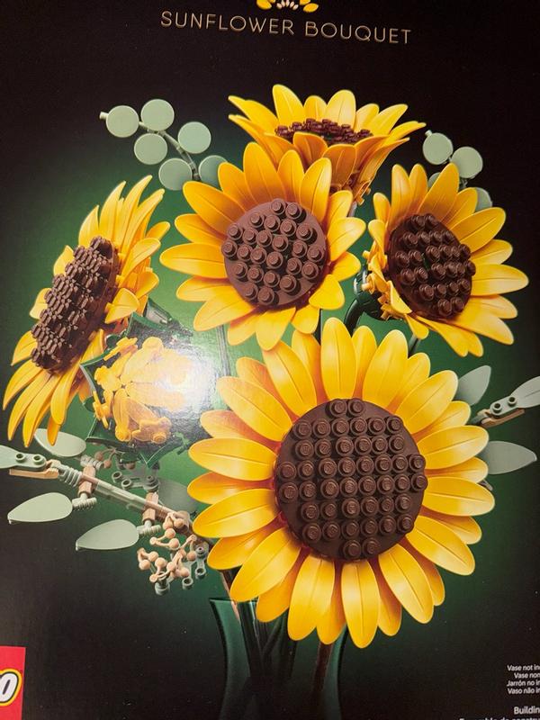 【2点セット】 38 RICH Cape Jasmine Sunflower 2点セット】 38 RICH Cape Jasmine Sunflower Amazon.com: chanbrick