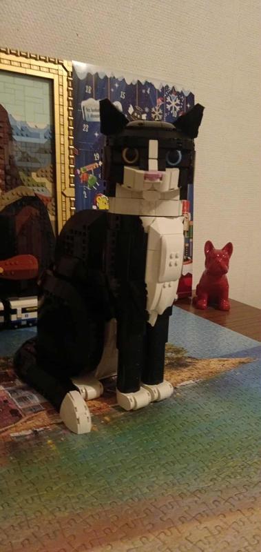 Photo - commentaire 1.