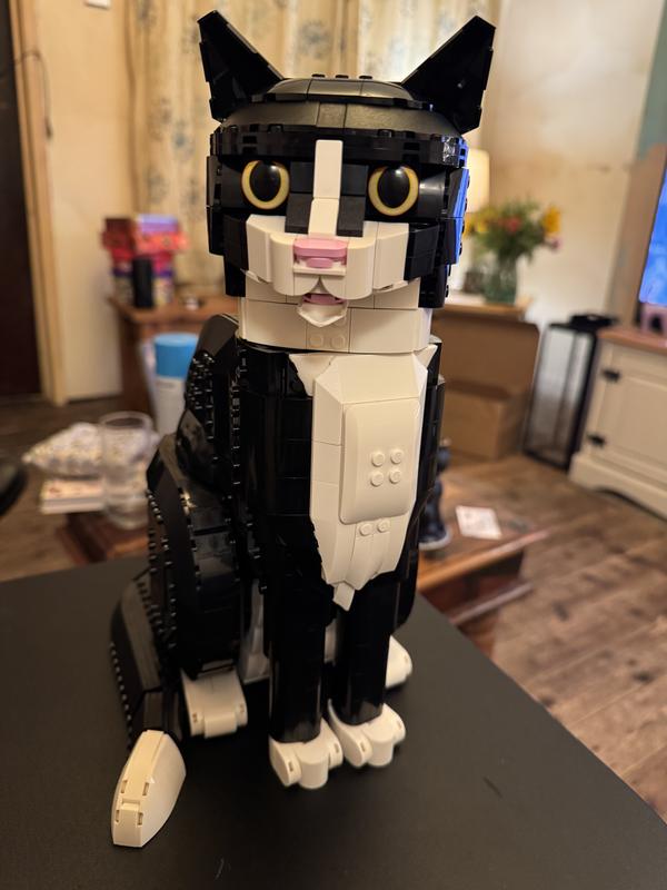 Photo - commentaire&nbsp;4.