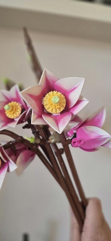 Review Thumbnail Image 0 1215582539