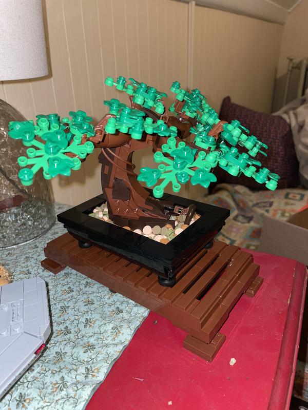 Easy plant care with LEGO 10281 Bonsai Tree – Blocks – the monthly LEGO  magazine for fans