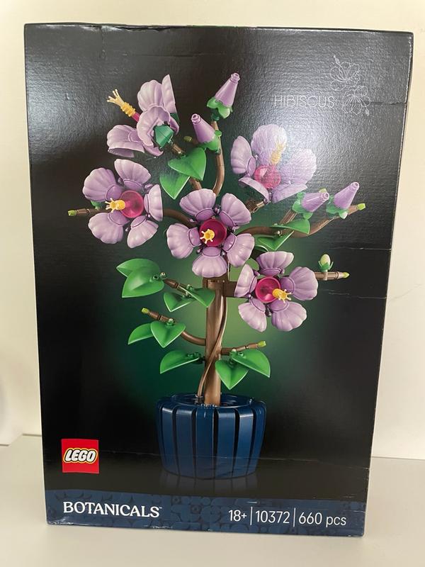 Photo - commentaire 1.