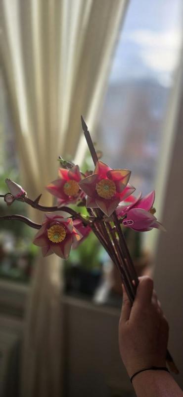 Review Thumbnail Image 2 1215582539