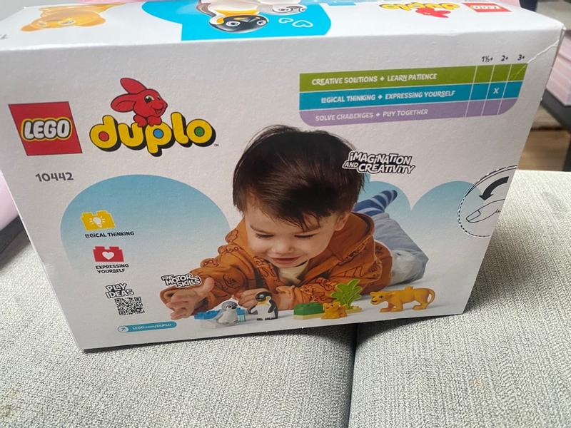 新品未使用！　こども　中国語　DinoLingo ディノリンゴ　プレミアムセット Dino Lingo Review: Premium Set - English learning program for kids