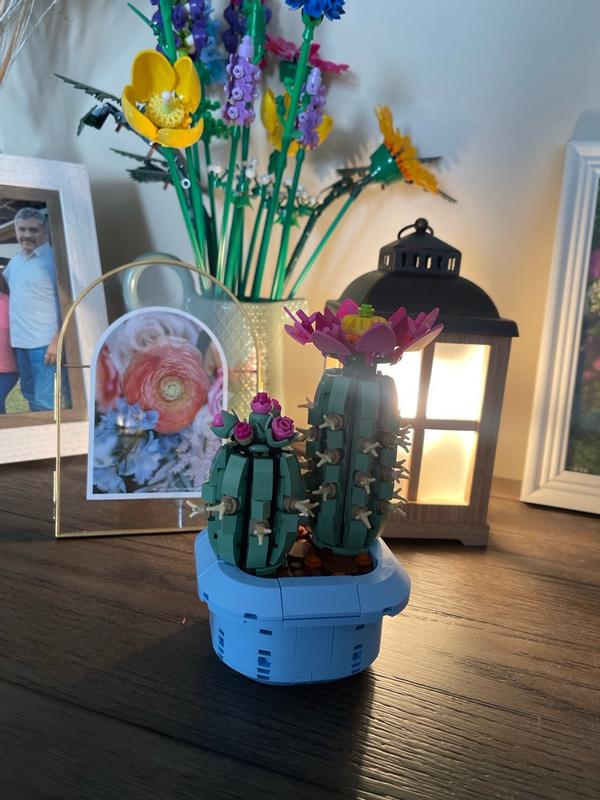 Review Thumbnail Image 1 1215773244