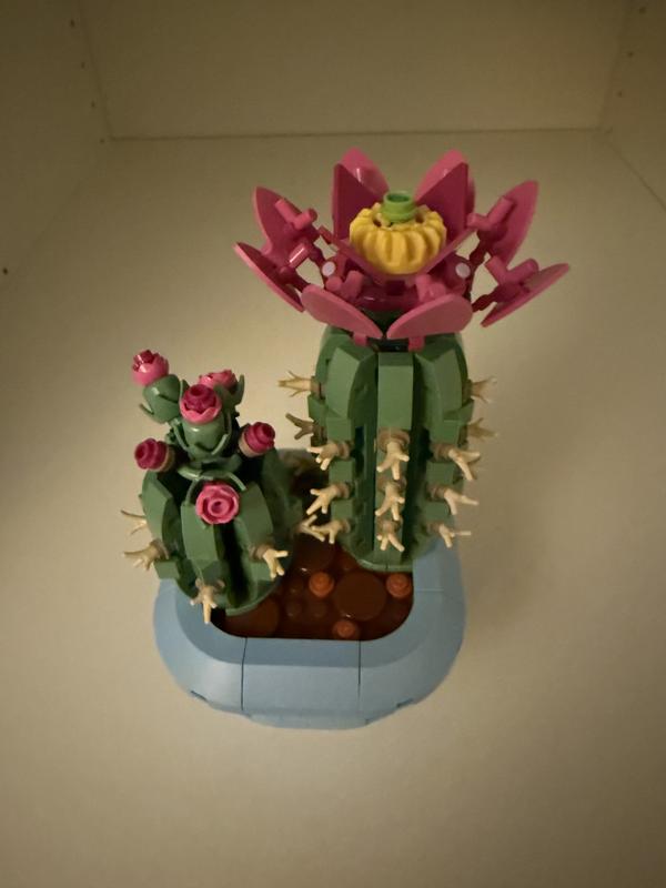 Review Thumbnail Image 0 1213411422