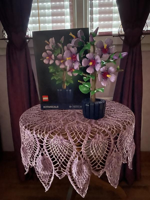 Photo - commentaire 3.