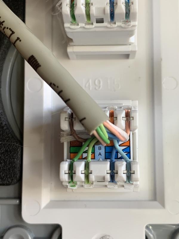 Conector RJ45 Cat 5e para cables de Red – MarBol System