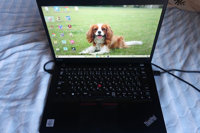 Lenovo ThinkPad X390 | 13.3 型ビジネス向けノートブック | レノボ ...