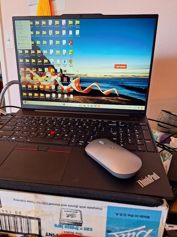 Marigold- my new Lenovo Thinkpad and new BFF