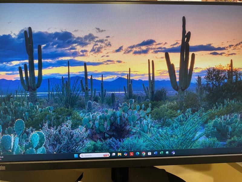 Lenovo ThinkVision T24i-30 23.8