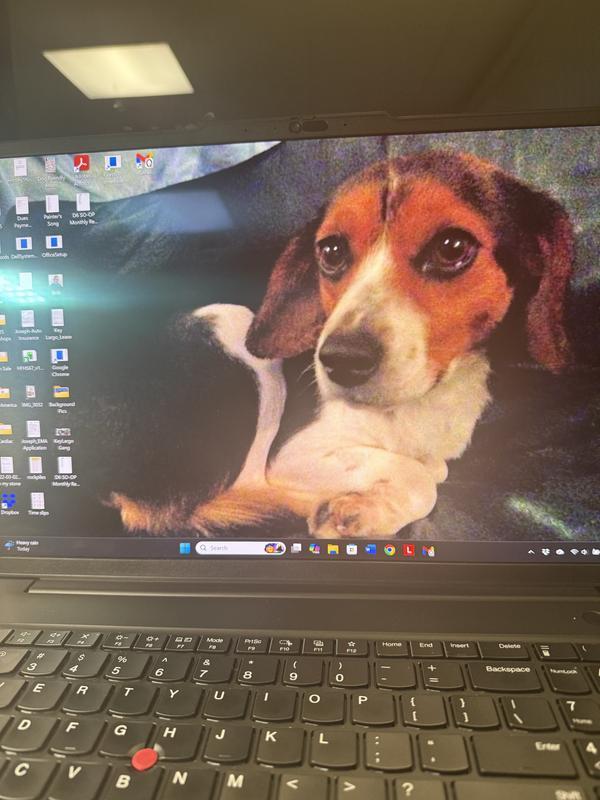 Customer carousel item 5.