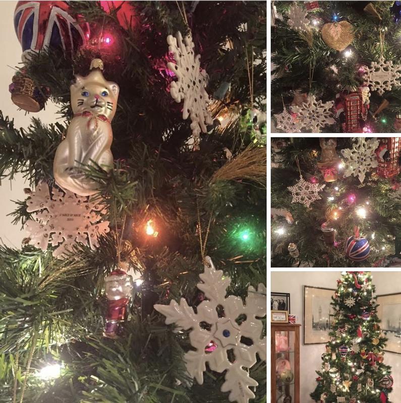 Photo from Marci G