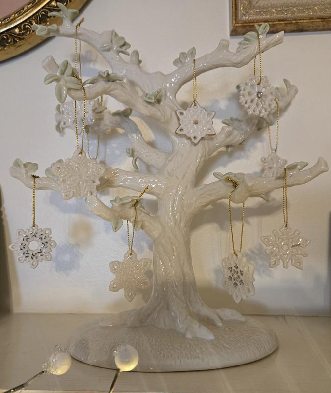 So many options for this beautiful tree.