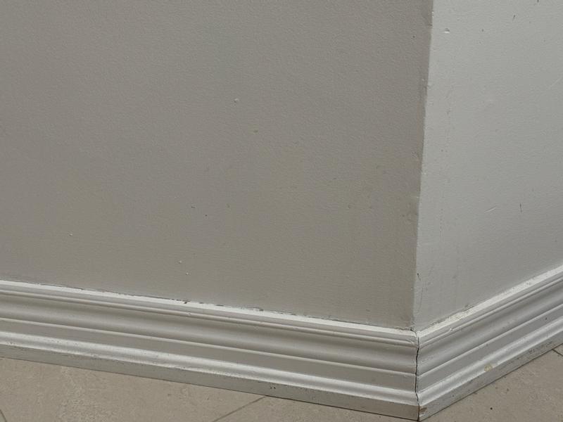 Photo - commentaire 7.