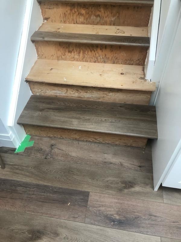 Photo - commentaire 5.