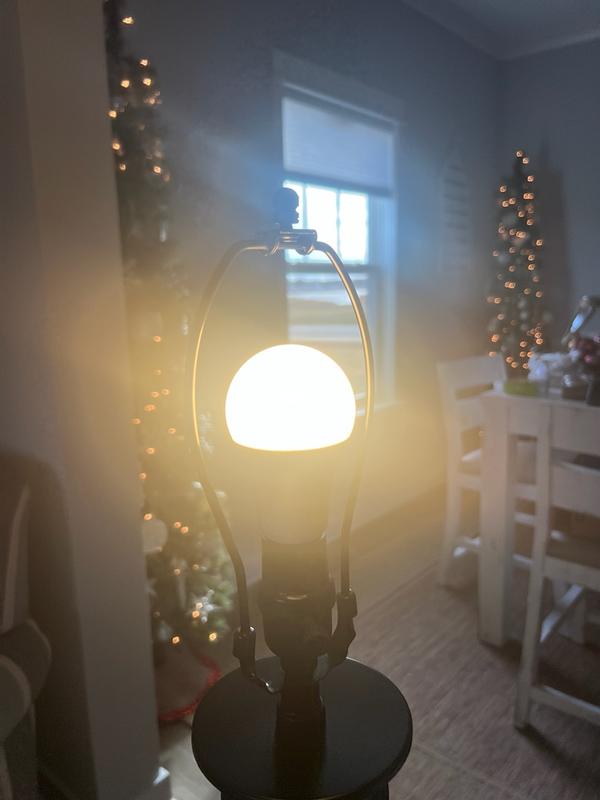 Customer carousel item 2.