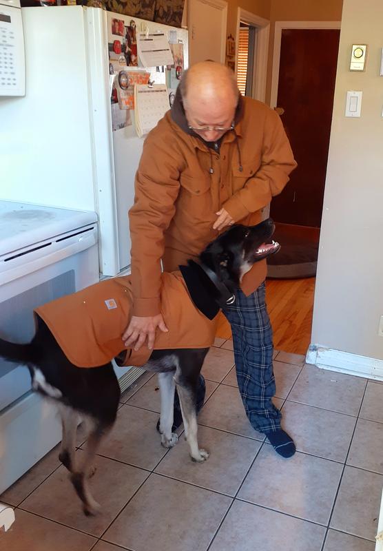 Photo - commentaire&nbsp;2.