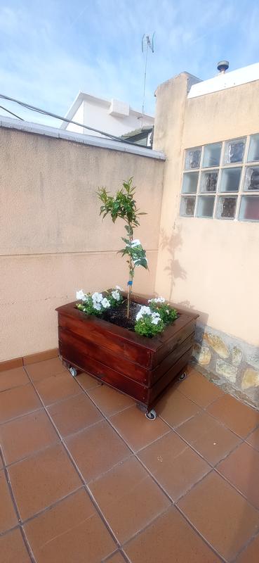 Abra o modal de avaliação 1 de 1