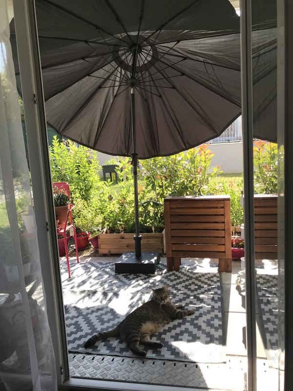 Abra o modal de avaliação 1 de 1