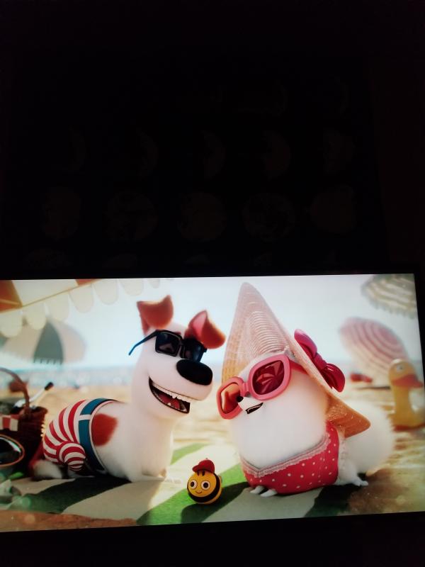 Secret Life of Pets 2 looks like a dream! Colors are AMAZING!