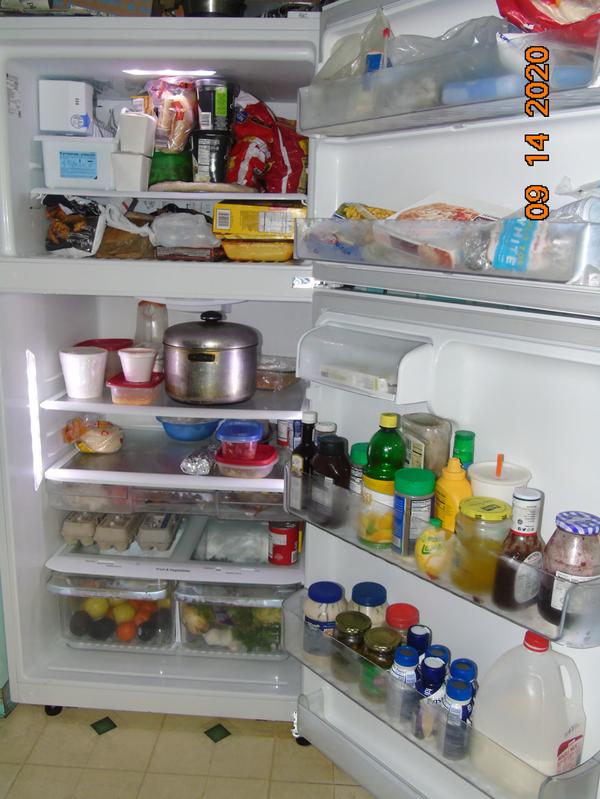 Why your refrigerator and freezer need a thermometer - CNET