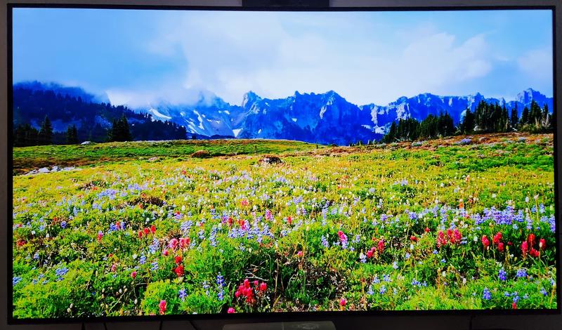 OLED55C1PUB in by LG in - LG C1 55 inch Class 4K Smart OLED TV w