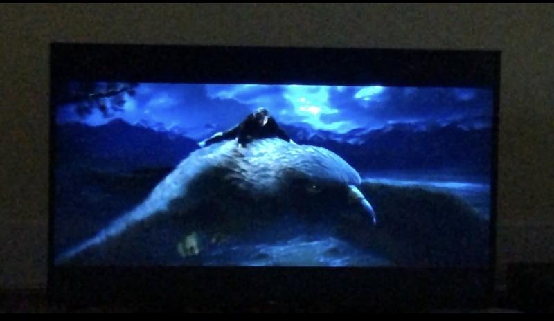 Customer photo 6 of 6. Click to open full size image.