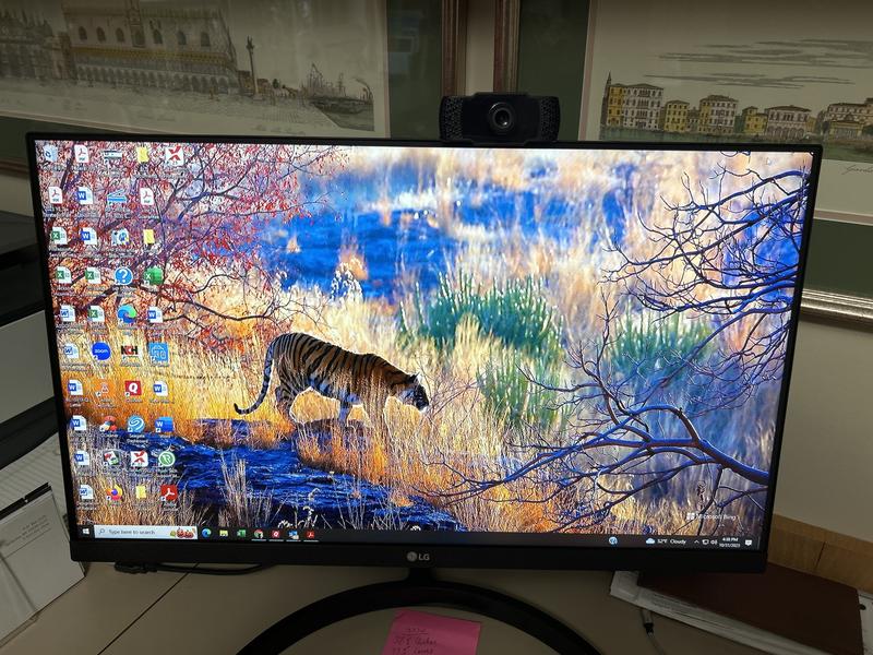 Monitor LED LG 27 27MK600 1920x1080 HDMI VGA IPS 5MS 75HZ