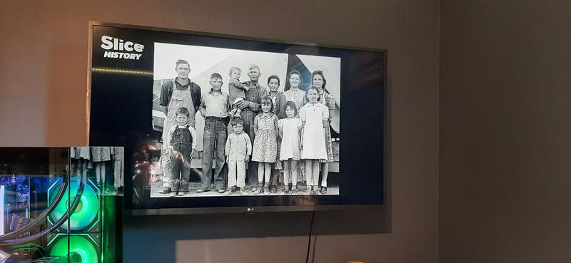 My cats tv she loves cat tv when dads at work
