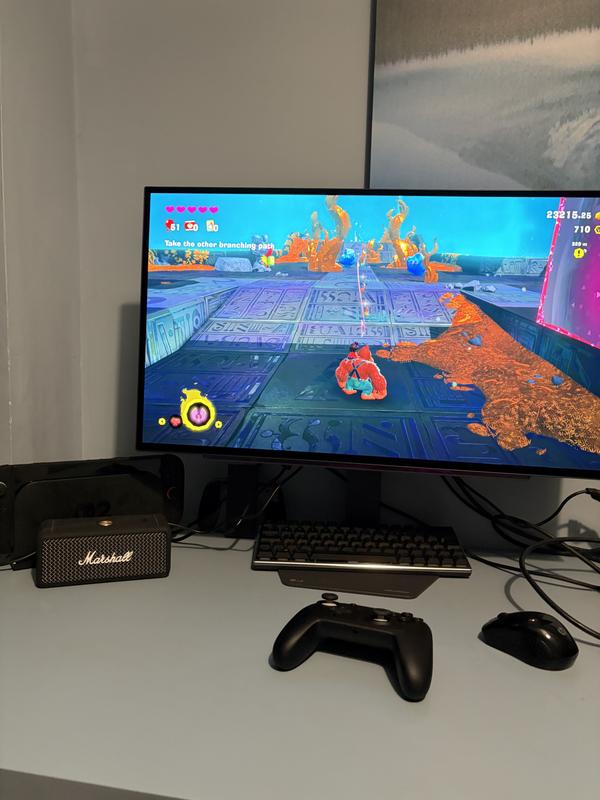 Customer photo 1 of 2. Click to open full size image.