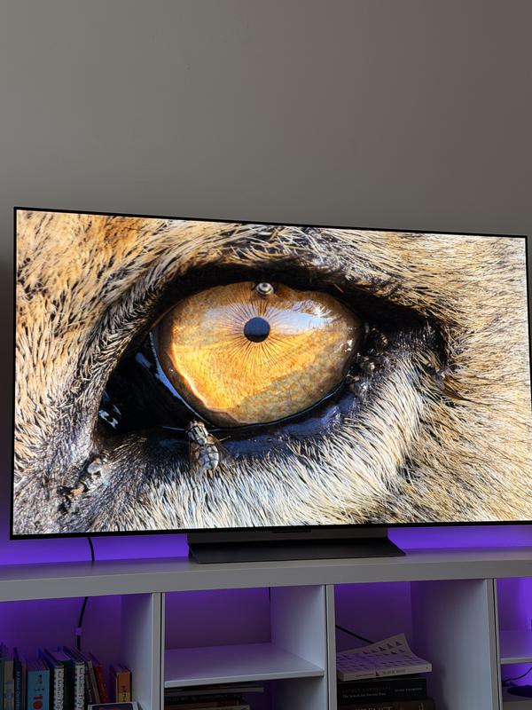 I thought the lion was in the living room!