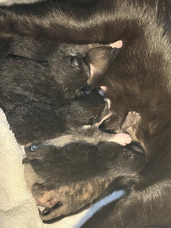 Photo - commentaire 3.