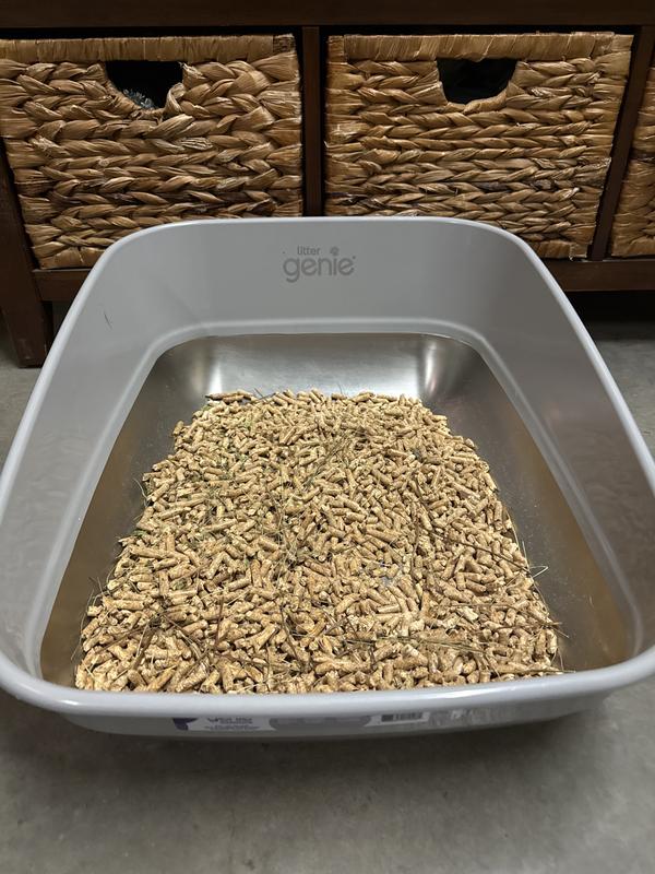 Photo - commentaire&nbsp;8.