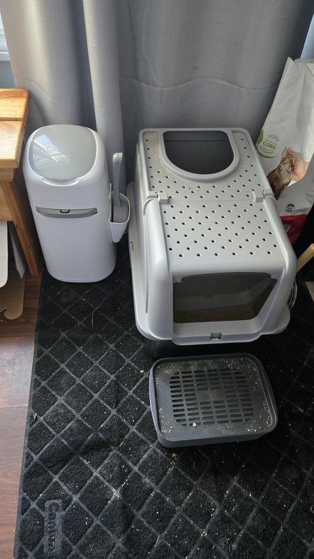 Photo - commentaire 6.