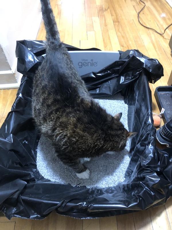 Photo - commentaire&nbsp;3.