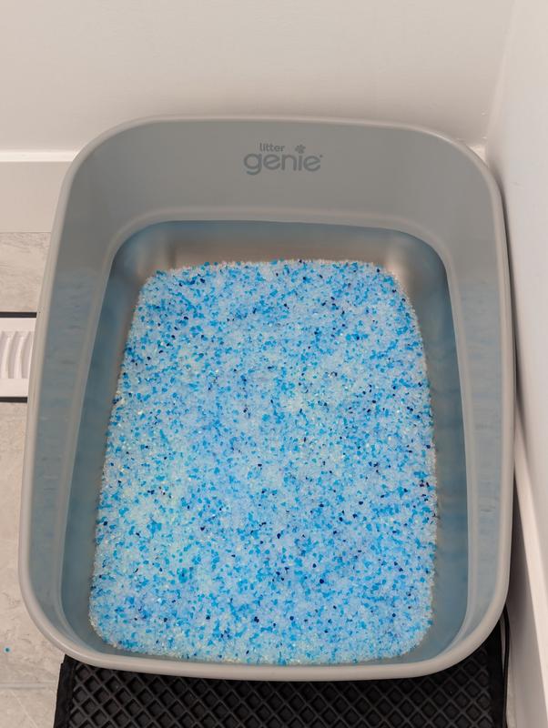 Photo - commentaire&nbsp;5.