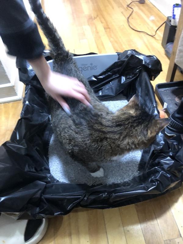 Photo - commentaire&nbsp;2.