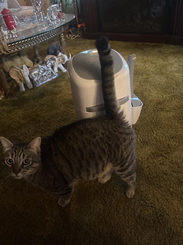 Photo - commentaire 8.