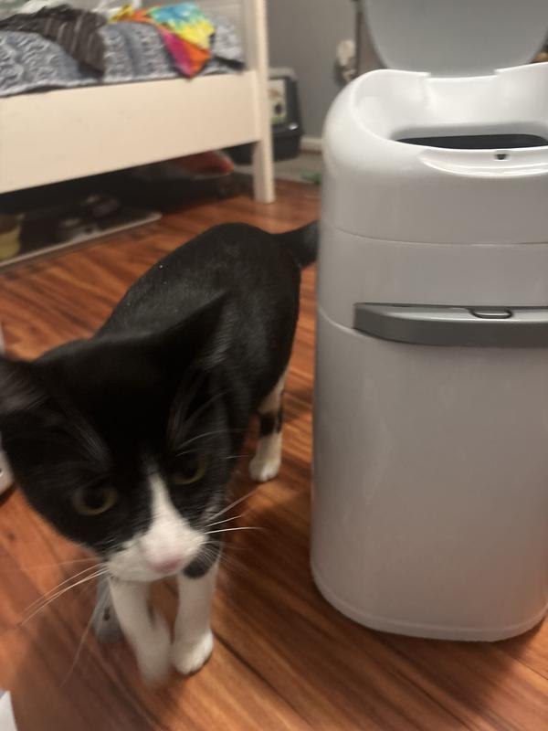 Photo - commentaire 5.