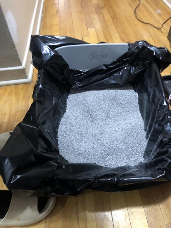 Photo - commentaire&nbsp;1.