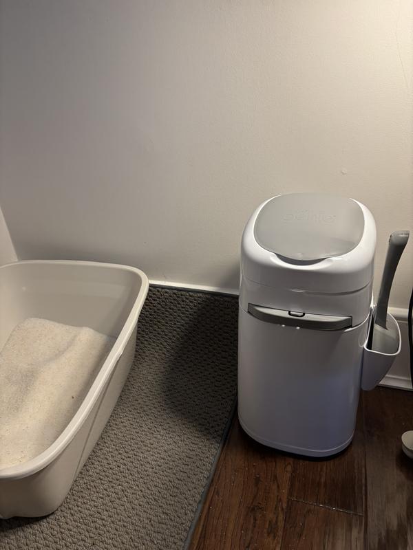 Photo - commentaire 7.