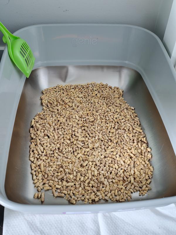 Photo - commentaire&nbsp;4.