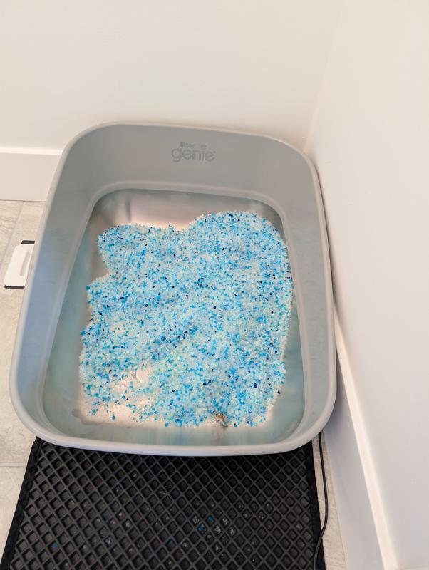 Photo - commentaire&nbsp;6.