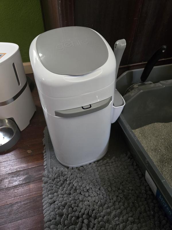 Photo - commentaire 7.