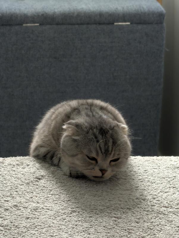 Photo - commentaire&nbsp;7.