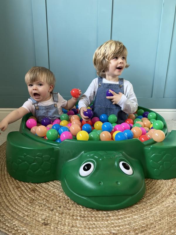 Turtle sandbox toys r hot sale us