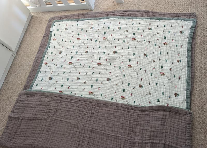 Comparing new unwashed blanket (mocha) with old blanket (powder party)