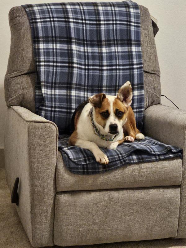 Plaid rocker recliner hotsell